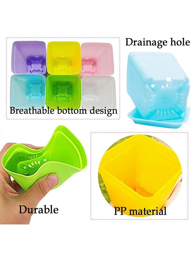 Geustos 48 Pack 3 Inch Colorful Plastic Plant Pot, Plastic Square Nursery Pots, Seedling Nursery Pots with Saucers for Garden, Home, Office, Porch Decor, Garden Gifts - Image 3